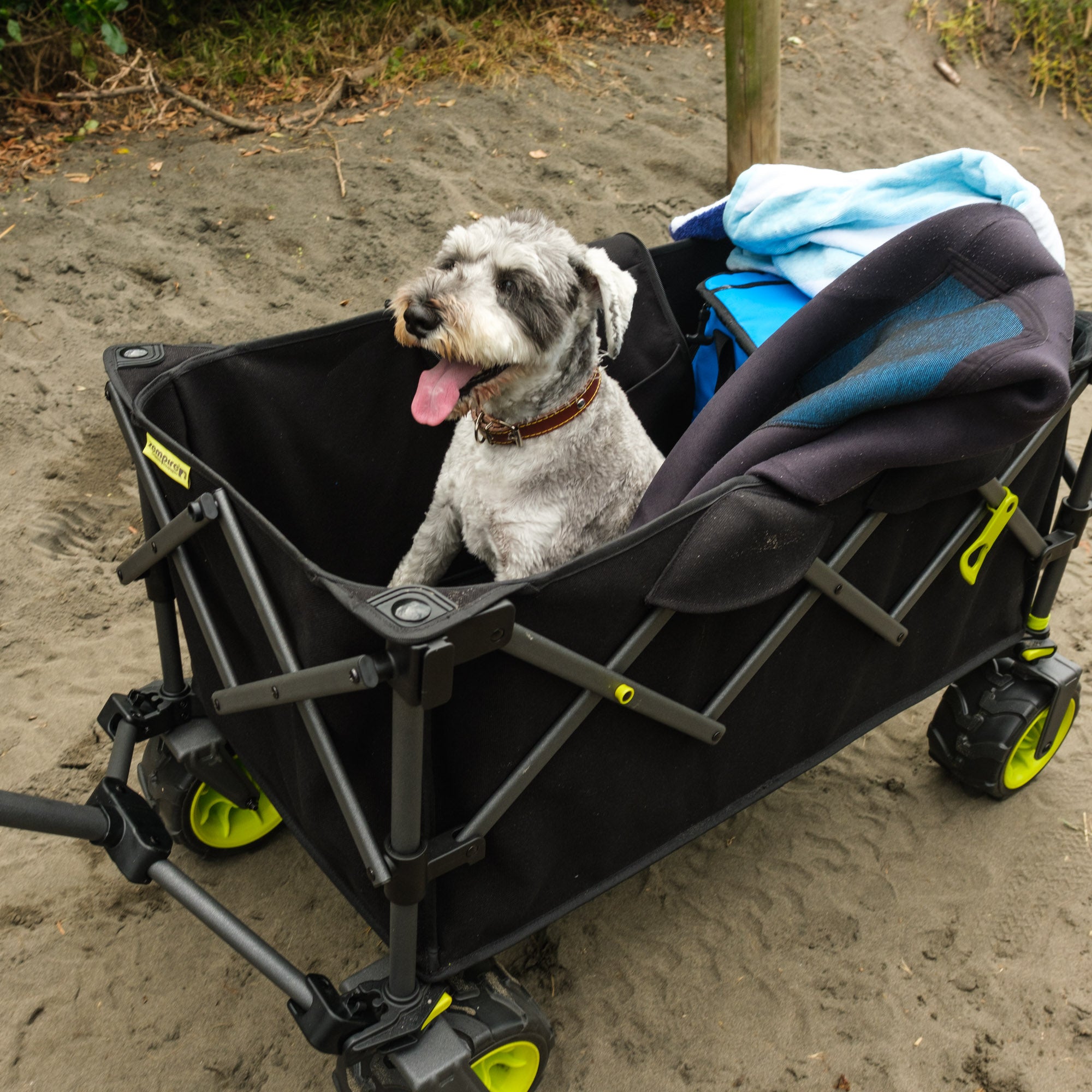 Minimax Camp Wagon