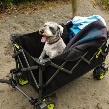 Minimax Camp Wagen